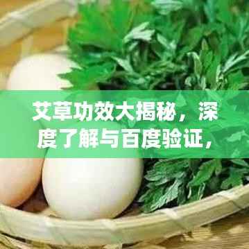 屈尊就卑