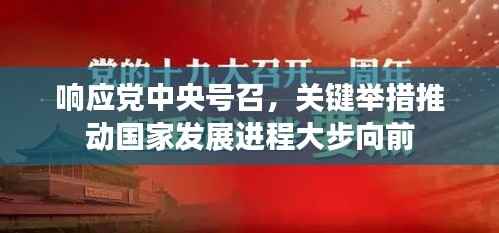 响应党中央号召，关键举措推动国家发展进程大步向前