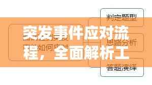 突发事件应对流程,全面解析工作程序