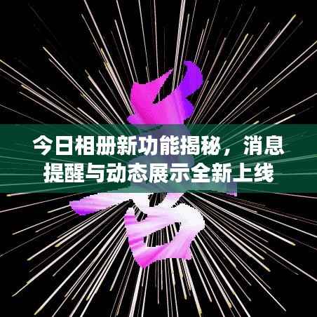 今日相册新功能揭秘,消息提醒与动态展示全新上线