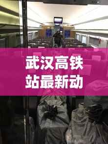 武汉高铁站最新动态速递，今日消息一网打尽！