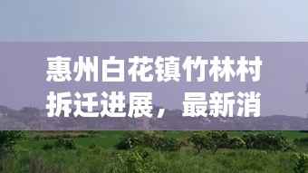 惠州白花镇竹林村拆迁进展,最新消息揭秘拆迁动态