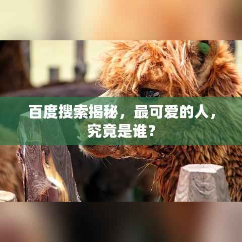 百度搜索揭秘，最可爱的人，究竟是谁？